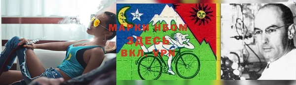 твердый Верхний Тагил