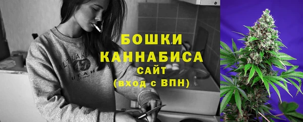 твердый Верхний Тагил