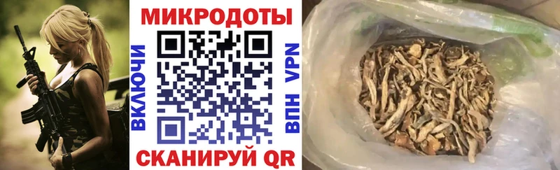 Купить  Юхнов  Псилоцибиновые грибы мицелий 